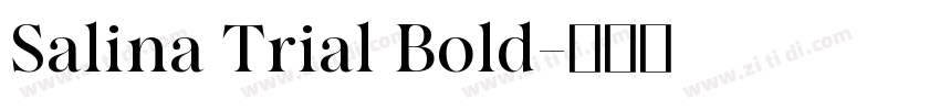 Salina Trial Bold字体转换